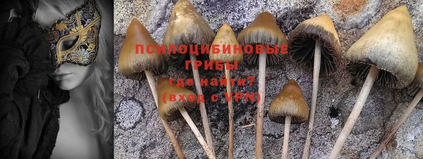 марки lsd Осташков