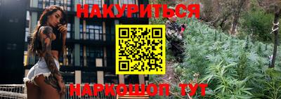 крисы Апшеронск