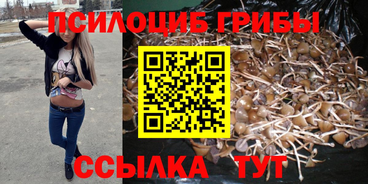 Галлюциногенные грибы MAGIC MUSHROOMS  Барнаул 