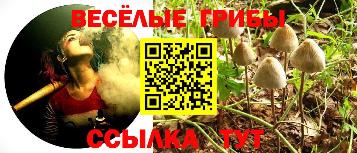 Барнаул  наркота  Вход с VPN  Галлюциногенные грибы прущие грибы 